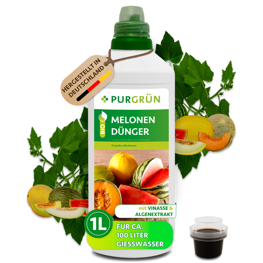Purgrün Bio-Melonen-Dünger in der 1-Liter-Flasche mit Dosierkappe, ausreichend für ca. 100 Liter Gießwasser.