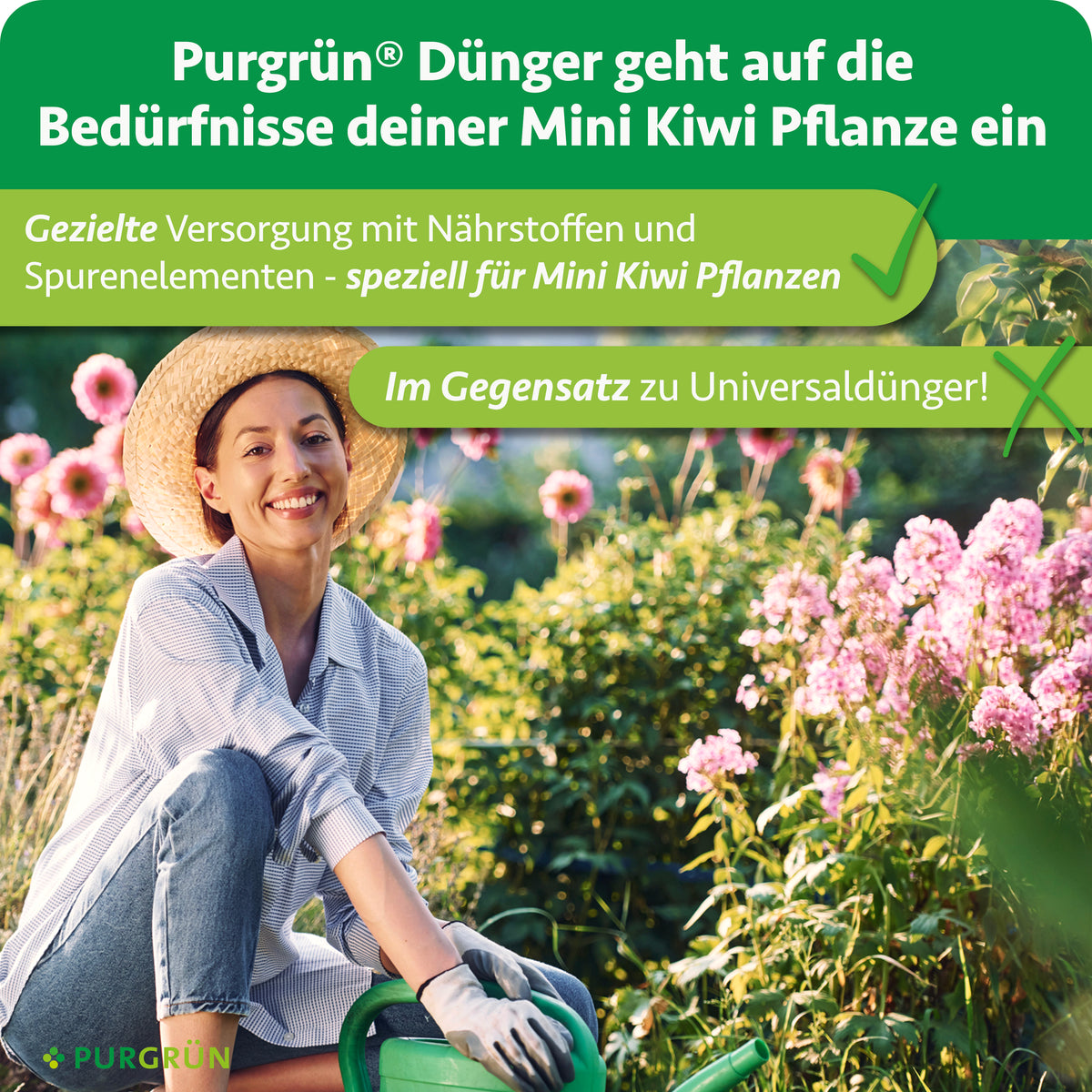 Gezielte Versorgung von Mini-Kiwi-Pflanzen mit Nährstoffen und Spurenelementen statt Universaldünger.