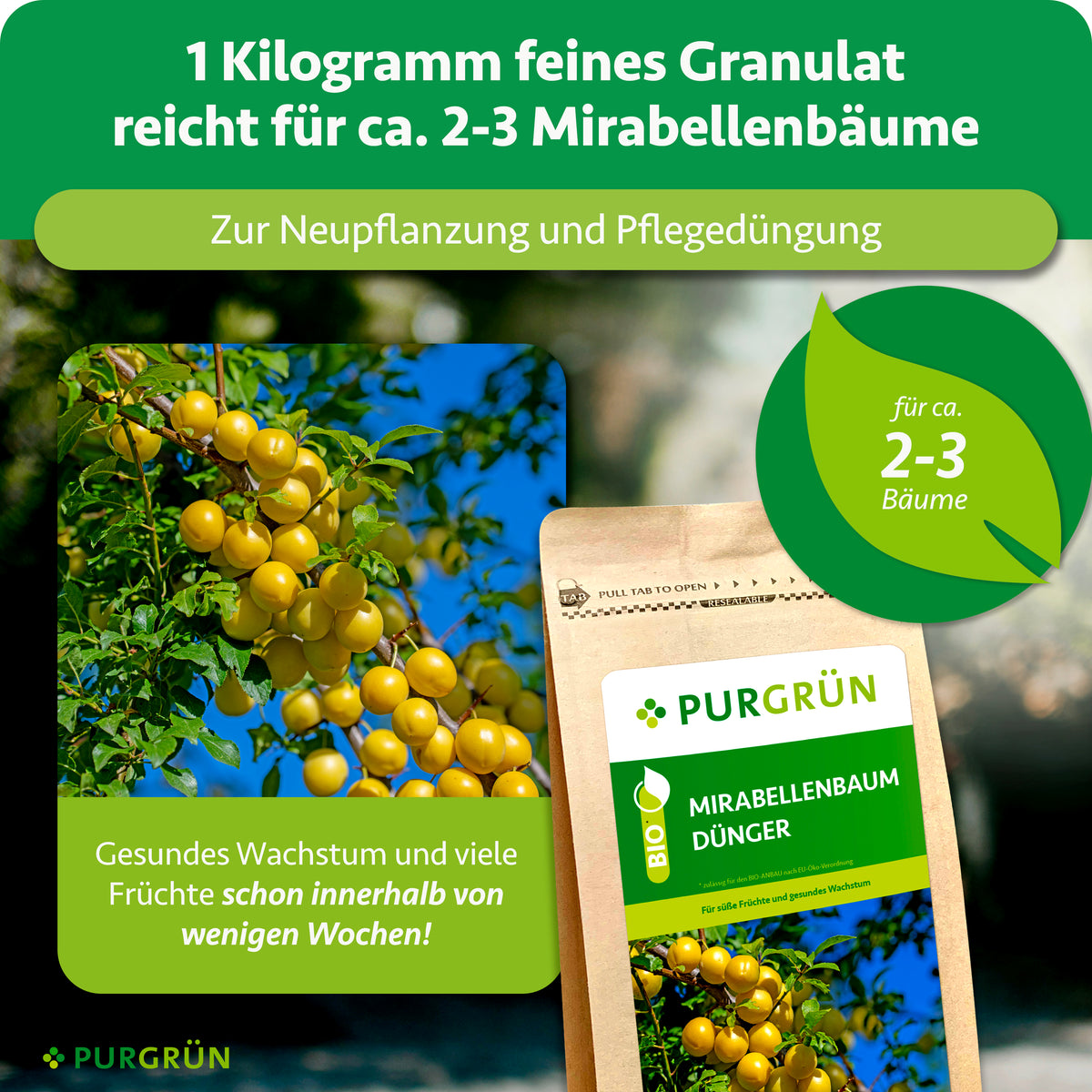 1 kg feines Granulat reicht für ca. 2–3 Mirabellenbäume und eignet sich zur Neupflanzung und Pflegedüngung.
