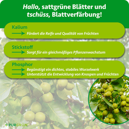 Kalium fördert Reife und Qualität der Früchte, Stickstoff gleichmäßiges Pflanzenwachstum. Phosphor begünstigt ein dichtes, stabiles Wurzelwerk sowie die Entwicklung von Knospen und Früchten.