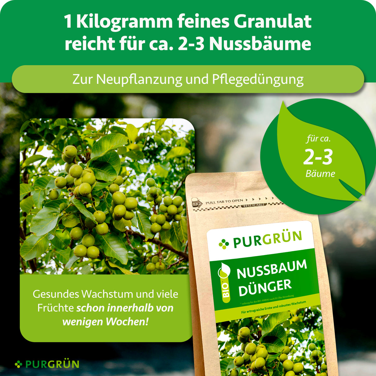 1 kg feines Granulat reicht für ca. 2–3 Nussbäume und ist zur Neupflanzung und Pflegedüngung vorgesehen.