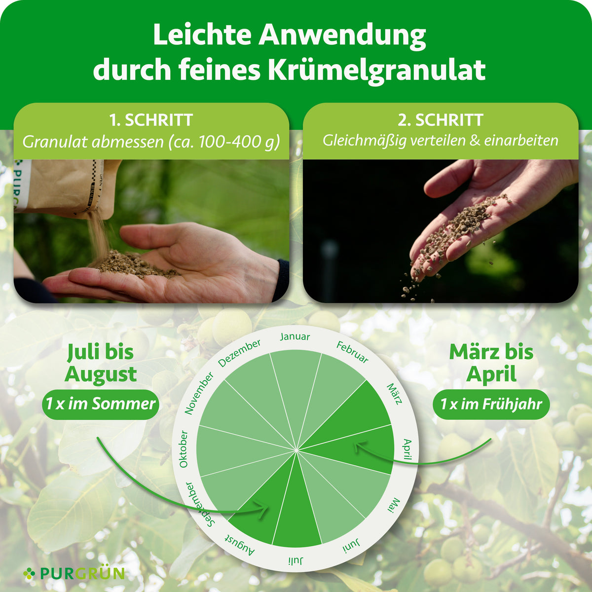Ca. 100–400 g Granulat abmessen, gleichmäßig verteilen und einarbeiten. Je einmal von März bis April und von Juli bis August düngen.