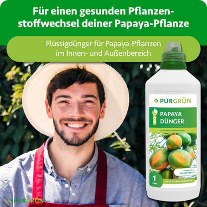 Flüssiger Bio-Papaya-Dünger für einen gesunden Pflanzenstoffwechsel bei Papayas im Innen- und Außenbereich.