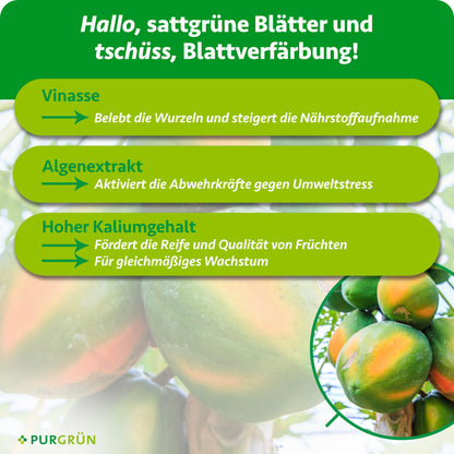 Vinasse belebt die Wurzeln und steigert die Nährstoffaufnahme, Algenextrakt stärkt die Abwehrkräfte gegen Umweltstress. Hoher Kaliumgehalt fördert Fruchtreife, Fruchtqualität und gleichmäßiges Wachstum.
