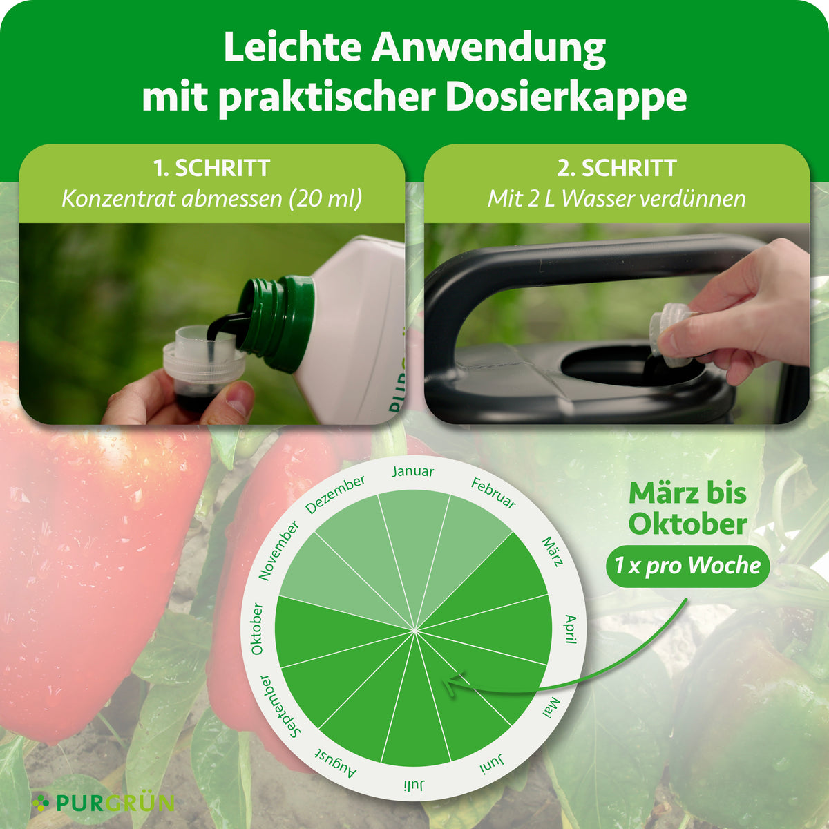 Anwendung: 20 ml Konzentrat abmessen, mit 2 Litern Wasser verdünnen und von März bis Oktober 1× pro Woche düngen.