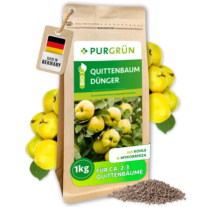 Purgrün Bio-Quittenbaum-Dünger im 1-kg-Beutel mit Kohle und Mykorrhiza, abgebildet mit Quitten und feinem Granulat.