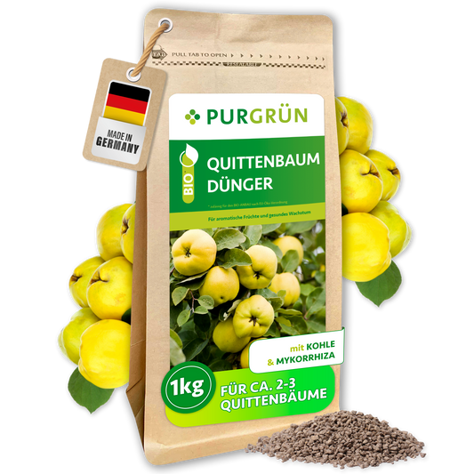 Purgrün Bio-Quittenbaum-Dünger im 1-kg-Beutel mit Kohle und Mykorrhiza, abgebildet mit Quitten und feinem Granulat.