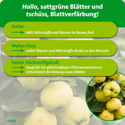 Kohle hält Nährstoffe und Wasser im Boden, Mykorrhiza leitet sie zu den Wurzeln. Ein hoher Stickstoffgehalt fördert gleichmäßiges Wachstum und neue Blätter.