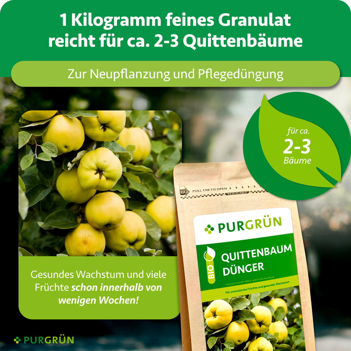 1 kg feines Granulat reicht für ca. 2–3 Quittenbäume und eignet sich zur Neupflanzung und Pflegedüngung.