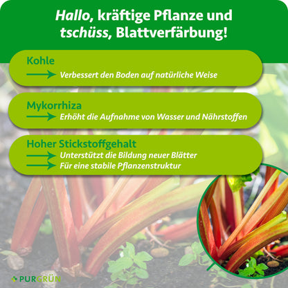 Kohle verbessert den Boden, Mykorrhiza erhöht die Wasser- und Nährstoffaufnahme. Ein hoher Stickstoffgehalt unterstützt neue Blätter und eine stabile Pflanzenstruktur.