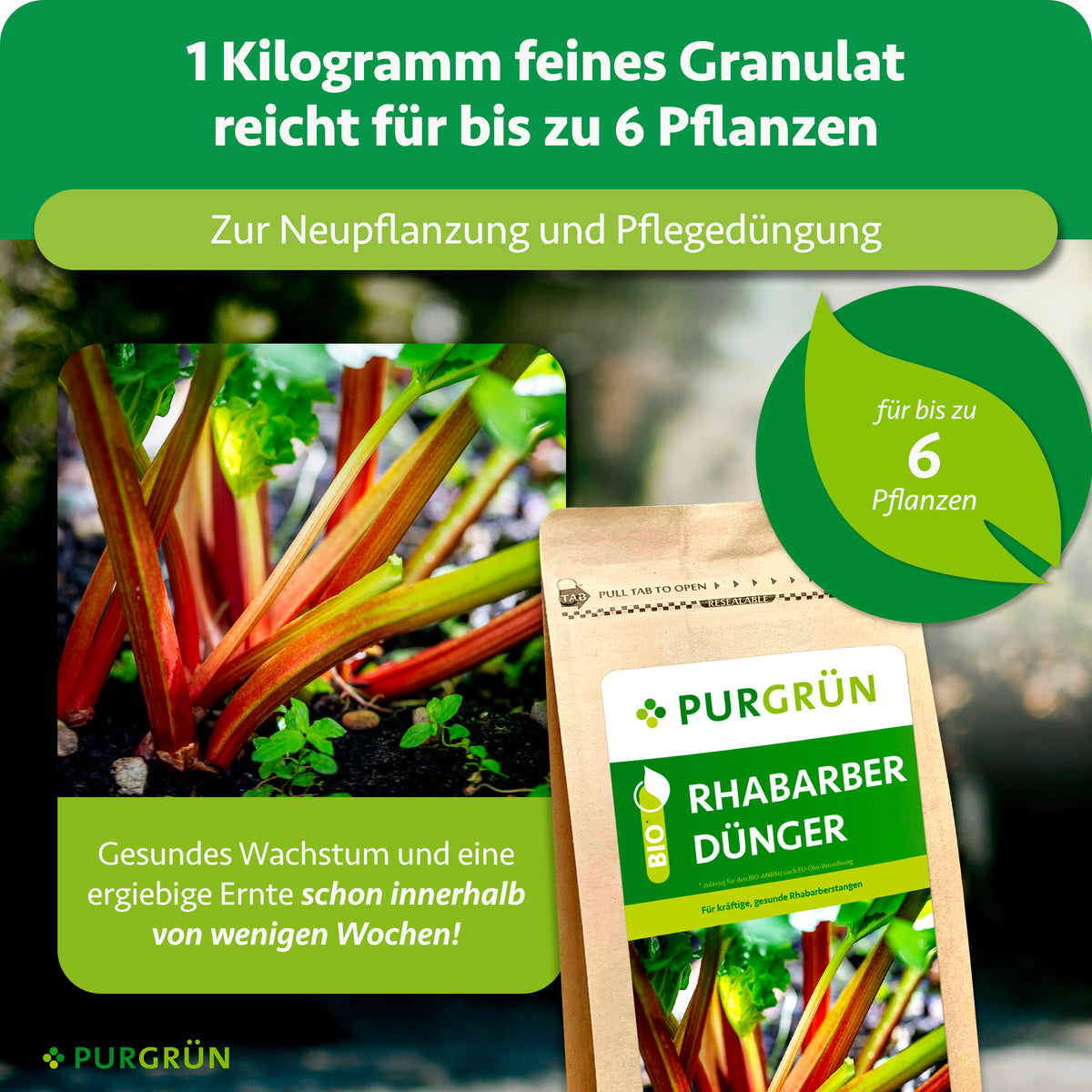 1 kg feines Granulat reicht für bis zu 6 Pflanzen und eignet sich zur Neupflanzung sowie Pflegedüngung. Gesundes Wachstum und eine ergiebige Ernte werden innerhalb weniger Wochen versprochen.