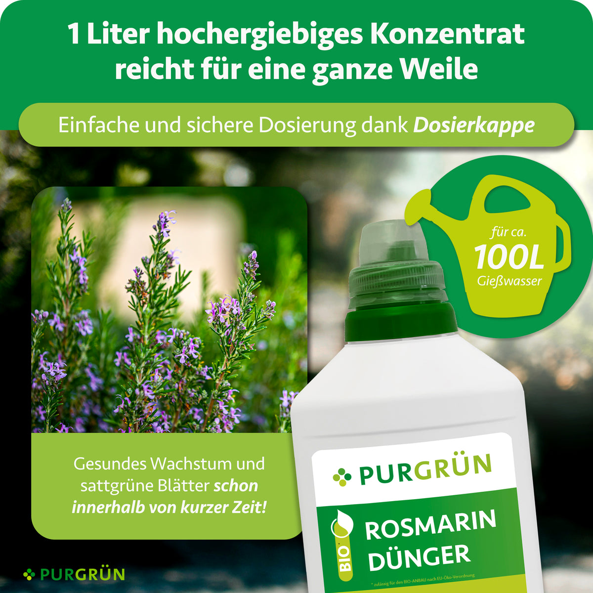 1 Liter hochergiebiges Konzentrat mit Dosierkappe reicht für ca. 100 Liter Gießwasser; beworben werden gesundes Wachstum und sattgrüne Blätter innerhalb kurzer Zeit.