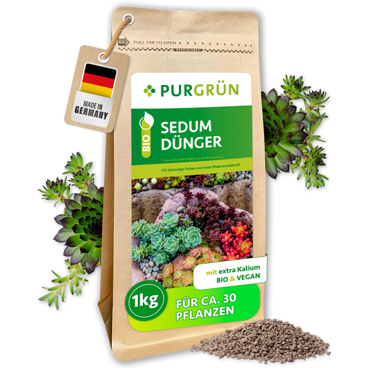 Purgrün Bio-Sedum-Dünger im 1-kg-Beutel mit sichtbarem Krümelgranulat und Sedum-Rosetten; bio und vegan.