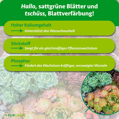 Hoher Kaliumgehalt unterstützt den Wasserhaushalt, Stickstoff ein gleichmäßiges Pflanzenwachstum und Phosphor das Wachstum kräftiger, verzweigter Wurzeln.