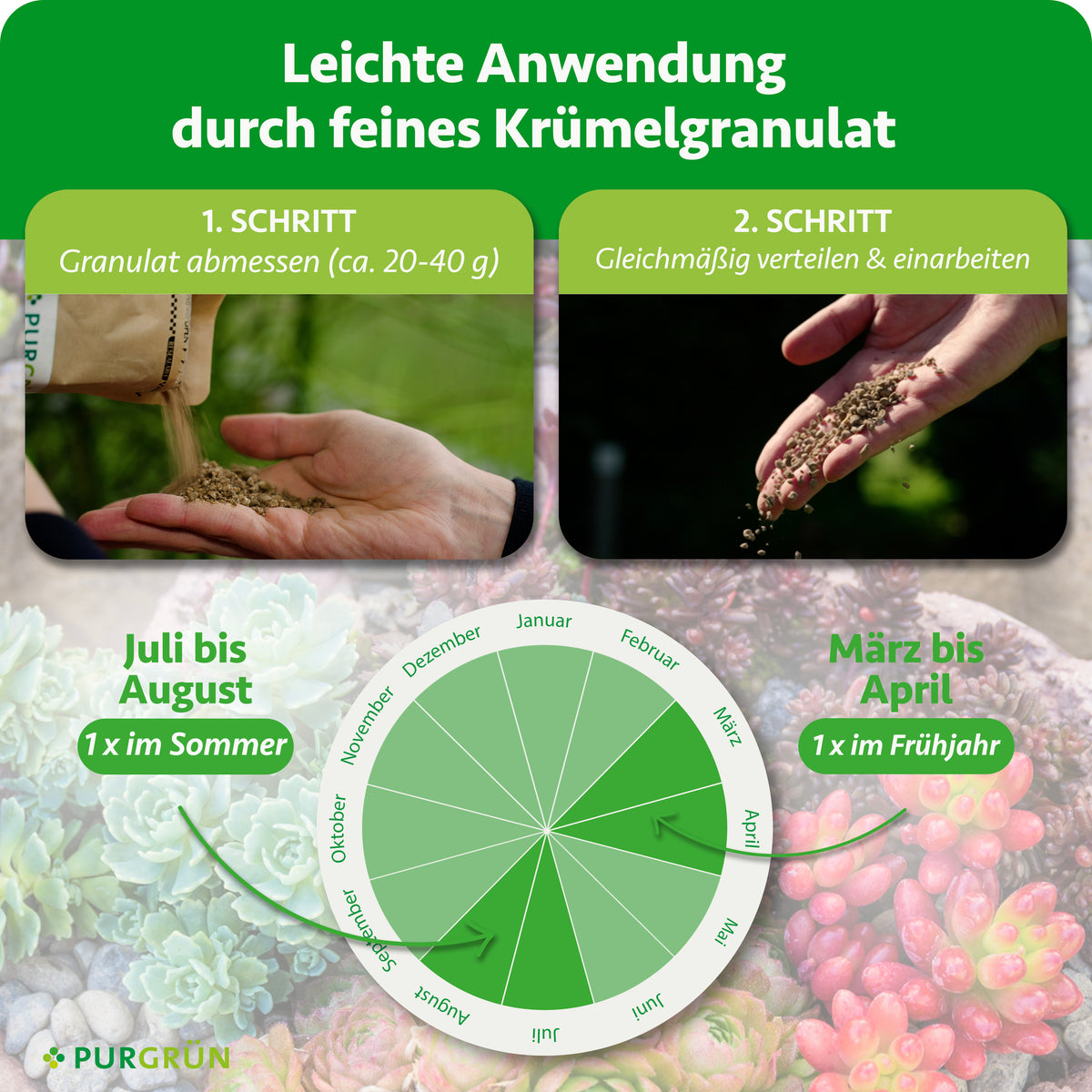 Je Pflanze ca. 20–40 g Granulat abmessen, gleichmäßig verteilen und einarbeiten; einmal im März bis April und einmal im Juli bis August düngen.