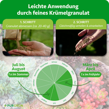 Je Pflanze ca. 20–40 g Granulat abmessen, gleichmäßig verteilen und einarbeiten; einmal im März bis April und einmal im Juli bis August düngen.