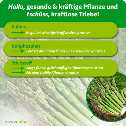 Kalium reguliert wichtige Stoffwechselprozesse, Rohphosphat fördert die Entwicklung eines gesunden Rhizoms und Stickstoff unterstützt gleichmäßiges Pflanzenwachstum sowie eine stabile Pflanzenstruktur.