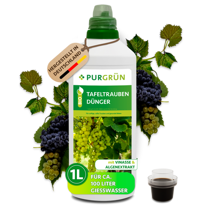 Purgrün Bio-Tafeltrauben-Dünger in der 1-Liter-Flasche, umrahmt von Trauben; reicht für ca. 100 Liter Gießwasser.