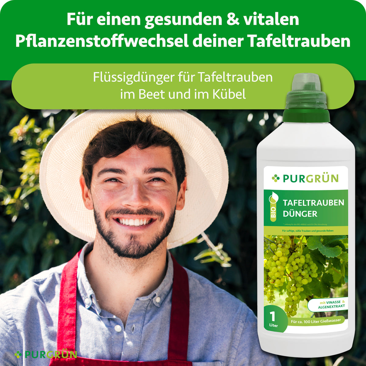 Flüssigdünger für Tafeltrauben im Beet und im Kübel, dargestellt neben einem lächelnden Gärtner. Für einen gesunden und vitalen Pflanzenstoffwechsel.