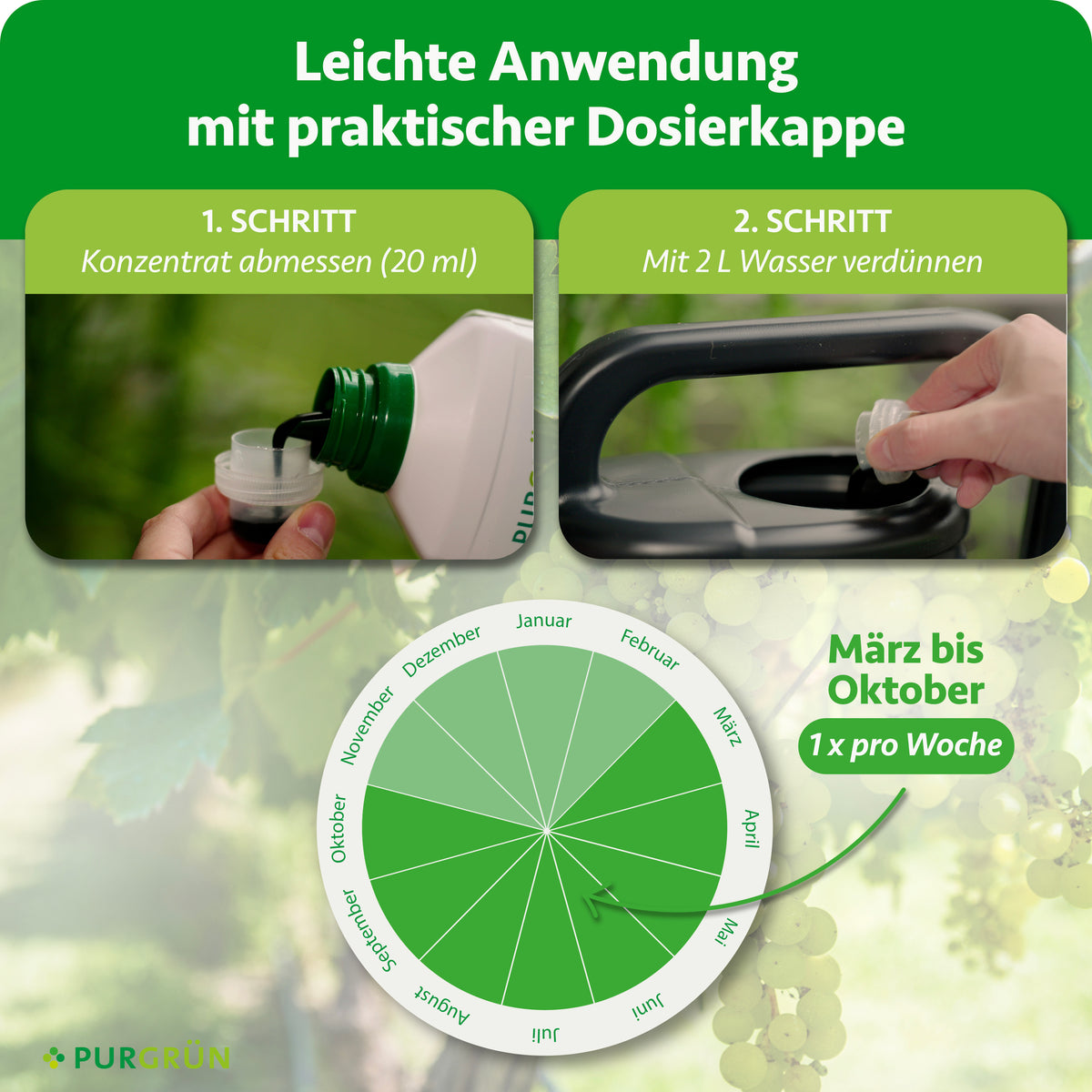 Anwendung von März bis Oktober einmal pro Woche: 20 ml Konzentrat abmessen und mit 2 Litern Wasser verdünnen.