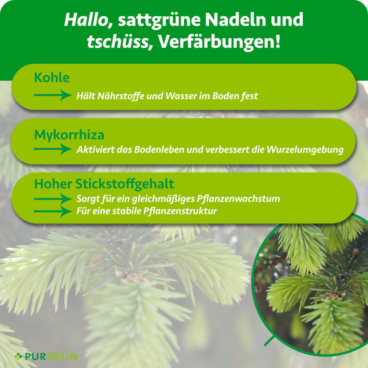 Kohle hält Nährstoffe und Wasser im Boden, Mykorrhiza aktiviert das Bodenleben und verbessert die Wurzelumgebung. Der hohe Stickstoffgehalt fördert gleichmäßiges Wachstum und eine stabile Pflanzenstruktur.