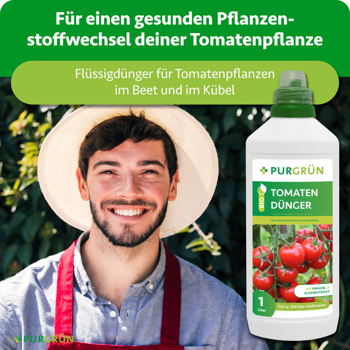 Flüssigdünger für einen gesunden Pflanzenstoffwechsel von Tomatenpflanzen im Beet und Kübel.