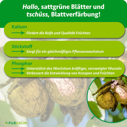 Kalium fördert Reife und Qualität der Früchte, Stickstoff gleichmäßiges Pflanzenwachstum und Phosphor kräftige, verzweigte Wurzeln sowie die Entwicklung von Knospen und Früchten.