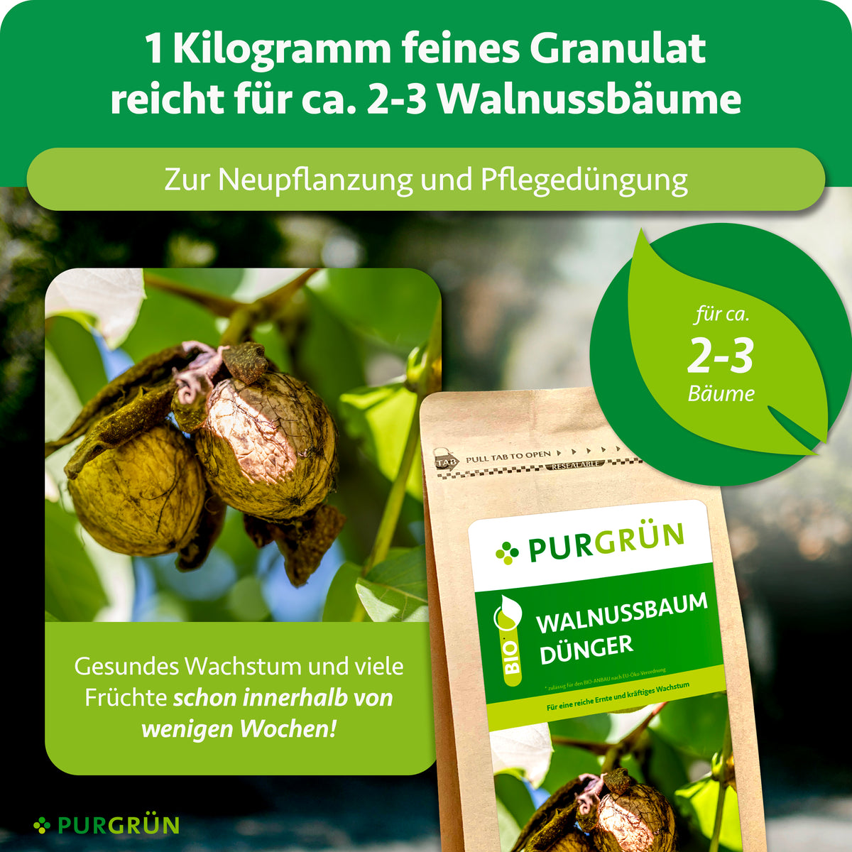 1 Kilogramm feines Granulat reicht für ca. 2–3 Walnussbäume und eignet sich zur Neupflanzung sowie Pflegedüngung.
