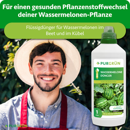 Flüssigdünger für Wassermelonen im Beet und Kübel, dargestellt neben einem lächelnden Gärtner.