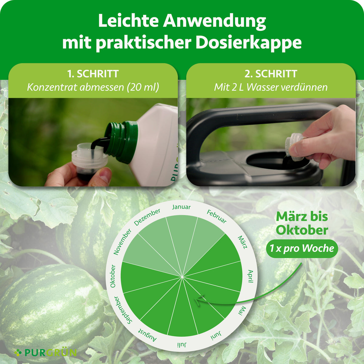 Anwendung: 20 ml Konzentrat abmessen, mit 2 Liter Wasser verdünnen und von März bis Oktober einmal pro Woche düngen.