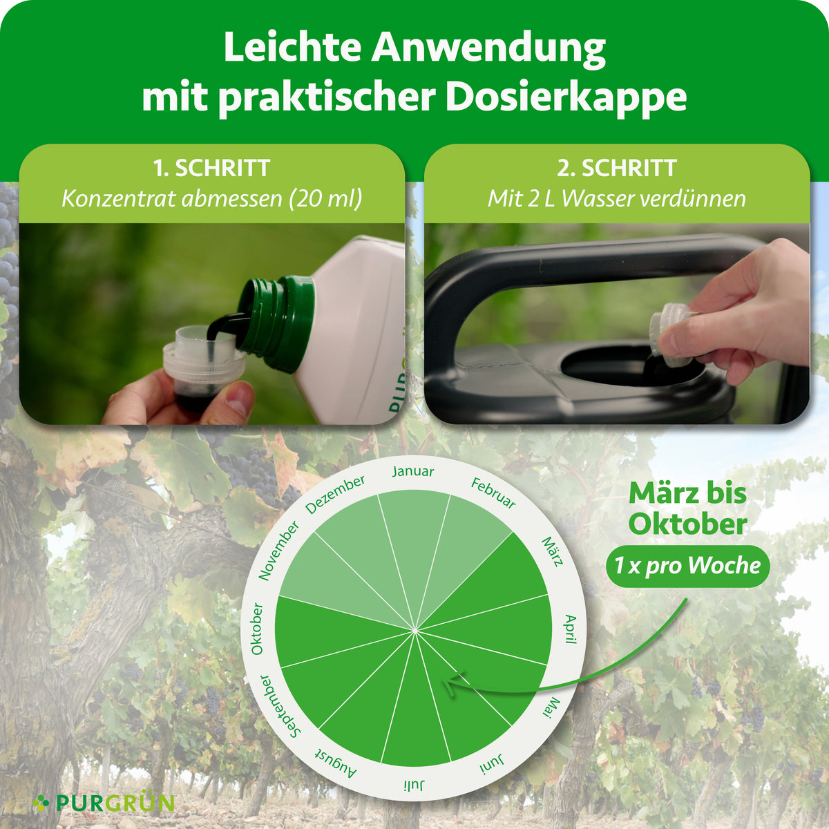 Anwendung von März bis Oktober 1x pro Woche: 20 ml Konzentrat mit 2 l Wasser verdünnen.