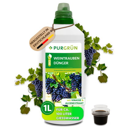 Purgrün Bio-Weintrauben-Dünger im 1-Liter-Kanister mit Dosierkappe und Trauben; ausreichend für ca. 100 Liter Gießwasser.