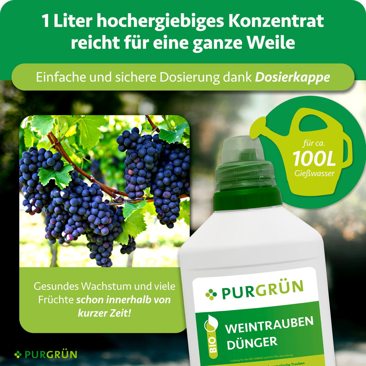 Ein Liter hochergiebiges Konzentrat lässt sich mit der Dosierkappe abmessen und reicht für ca. 100 Liter Gießwasser.