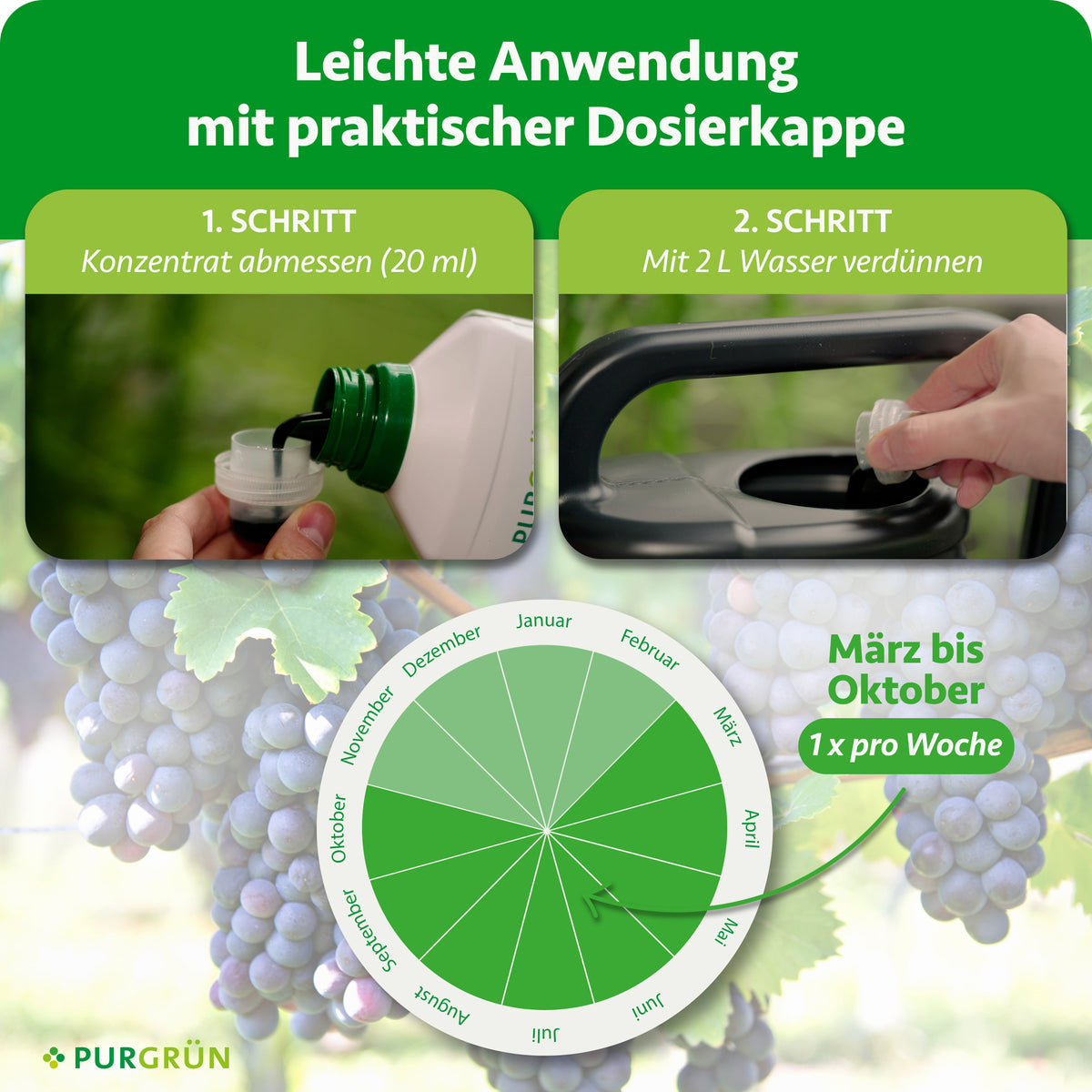 Anwendung: 20 ml Konzentrat abmessen, mit 2 Litern Wasser verdünnen und von März bis Oktober einmal pro Woche verwenden.