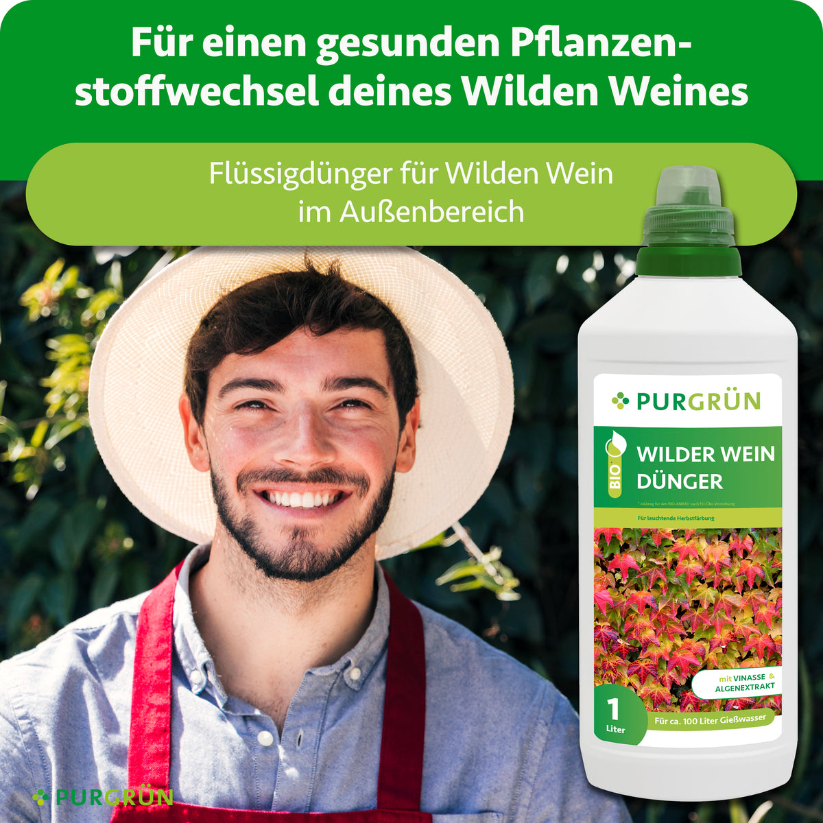 Gärtner neben einer Flasche Purgrün Bio-Wilder-Wein-Dünger; Flüssigdünger für Wilden Wein im Außenbereich und einen gesunden Pflanzenstoffwechsel.