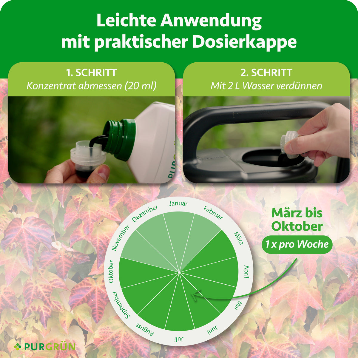 Anwendung: 20 ml Konzentrat abmessen und mit 2 l Wasser verdünnen. Von März bis Oktober 1× pro Woche anwenden.