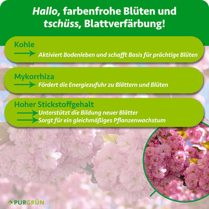 Kohle aktiviert das Bodenleben, Mykorrhiza fördert die Energiezufuhr zu Blättern und Blüten, hoher Stickstoff unterstützt neue Blätter und gleichmäßiges Wachstum.