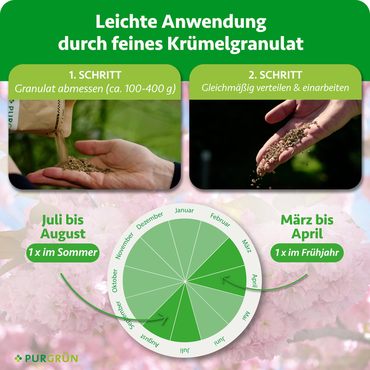 100–400 g Granulat abmessen, gleichmäßig verteilen und einarbeiten. Je einmal von März bis April und von Juli bis August düngen.