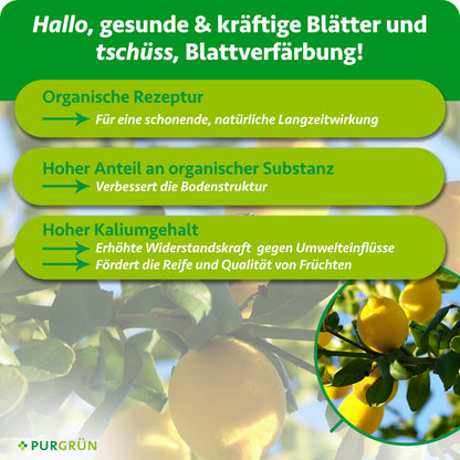 Organische Rezeptur für eine schonende Langzeitwirkung und bessere Bodenstruktur; hoher Kaliumgehalt unterstützt Widerstandskraft, Reife und Fruchtqualität.