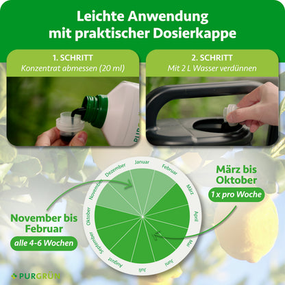 Anwendung: 20 ml Konzentrat mit 2 Litern Wasser verdünnen; März bis Oktober einmal wöchentlich, November bis Februar alle 4–6 Wochen.