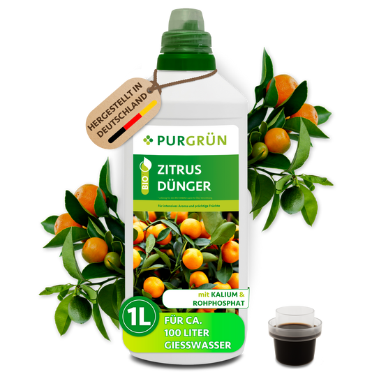 Purgrün Bio-Zitrusdünger im 1-Liter-Gebinde mit Dosierkappe, umrahmt von Zitruszweigen und Früchten.