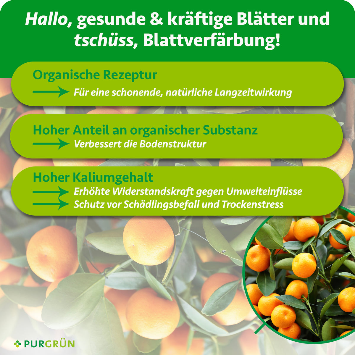 Organische Rezeptur für natürliche Langzeitwirkung, organische Substanz zur Verbesserung der Bodenstruktur und hoher Kaliumgehalt für mehr Widerstandskraft gegen Umwelteinflüsse.