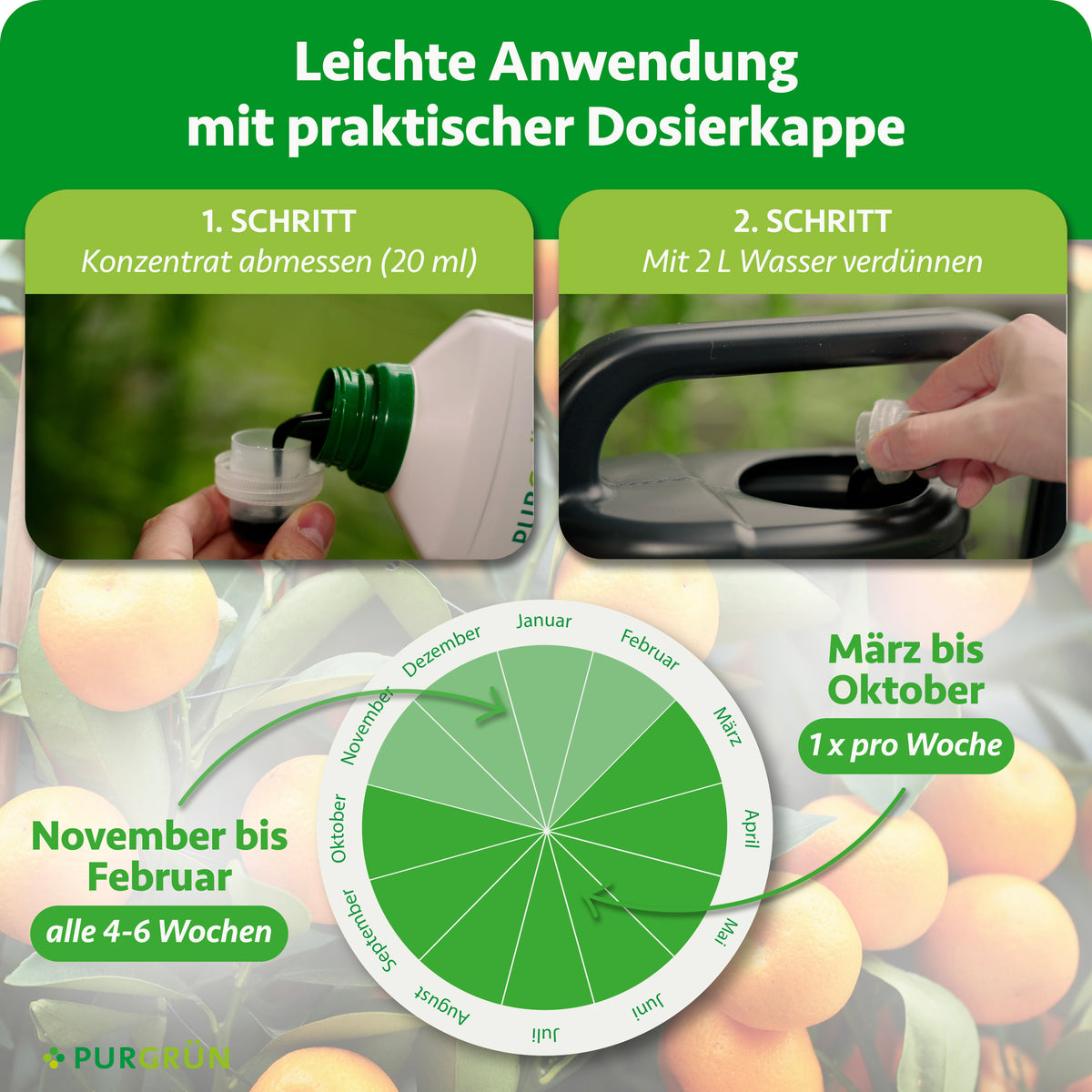 Anwendung: 20 ml Konzentrat abmessen und mit 2 L Wasser verdünnen. Von März bis Oktober 1-mal pro Woche, von November bis Februar alle 4–6 Wochen düngen.