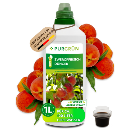 Purgrün Bio-Zwergpfirsich-Dünger in der 1-Liter-Flasche mit Dosierkappe, umgeben von reifen Pfirsichen.
