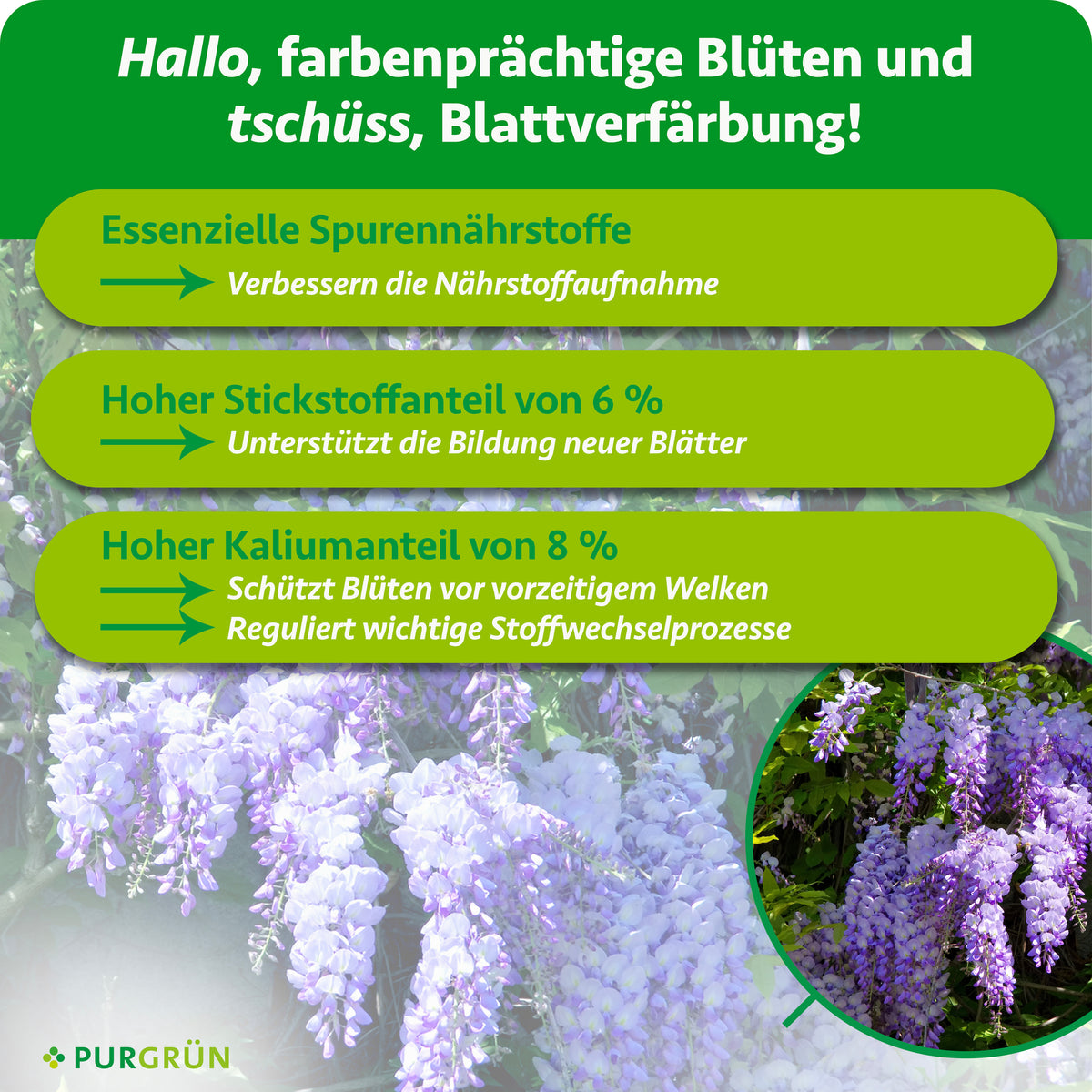 Spurennährstoffe verbessern die Nährstoffaufnahme; 6 % Stickstoff fördern neue Blätter und 8 % Kalium schützt Blüten vor vorzeitigem Welken.