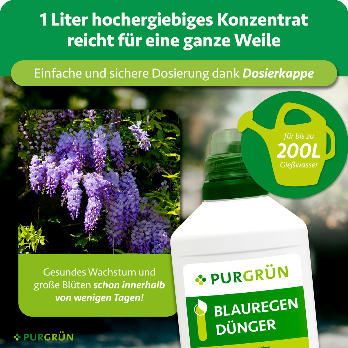 1 Liter Blauregen-Dünger reicht für bis zu 200 Liter Gießwasser; die Dosierkappe erleichtert die sichere Dosierung.