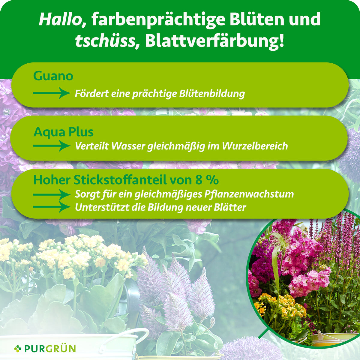 Guano fördert die Blütenbildung, Aqua Plus verteilt Wasser gleichmäßig im Wurzelbereich. 8 % Stickstoff unterstützen gleichmäßiges Pflanzenwachstum und die Bildung neuer Blätter.