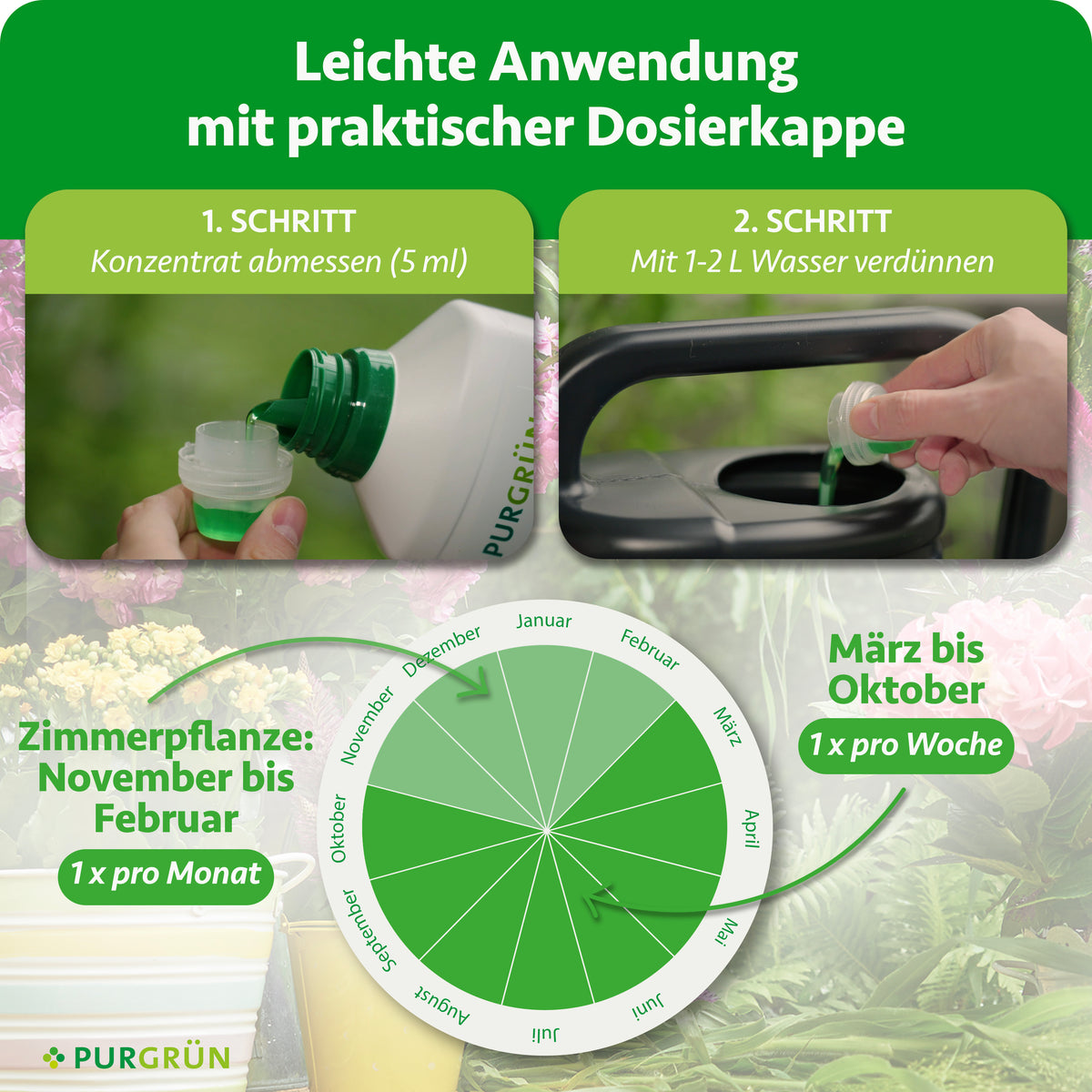 Anwendung: 5 ml Konzentrat mit 1–2 Litern Wasser verdünnen; von November bis Februar einmal monatlich, von März bis Oktober einmal wöchentlich anwenden.