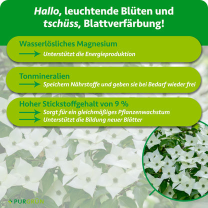 Wasserlösliches Magnesium unterstützt die Energieproduktion, Tonmineralien speichern Nährstoffe und geben sie bei Bedarf frei. 9 % Stickstoff fördern gleichmäßiges Pflanzenwachstum und die Bildung neuer Blätter.