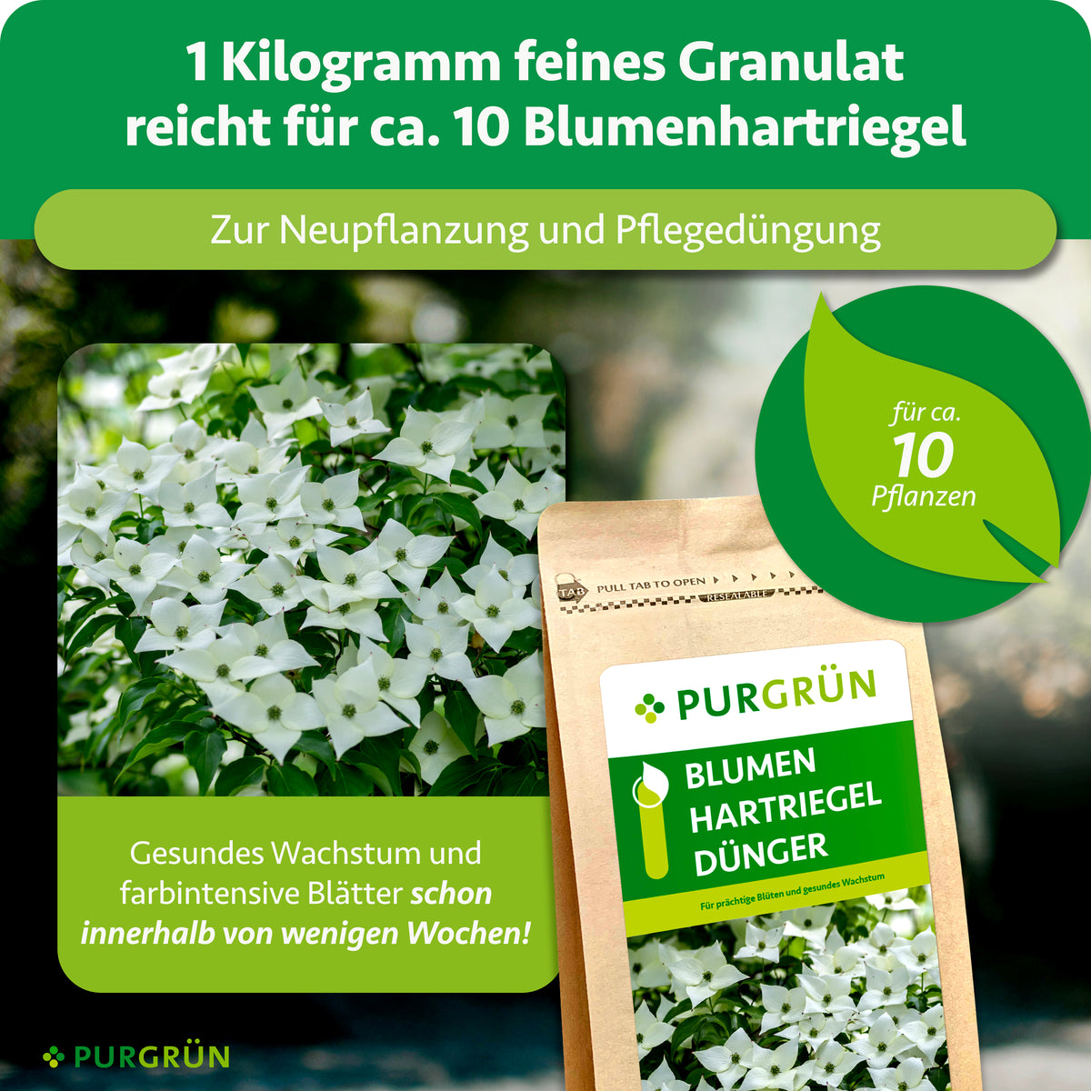 1 kg feines Granulat reicht für ca. 10 Blumenhartriegel zur Neupflanzung und Pflegedüngung.